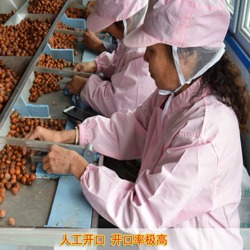 Best Hazelnut Northeast Hazelnut Open Cooked New Original Flavor Bag 500g Pingou Large Hazelnut Nuts Wholesale