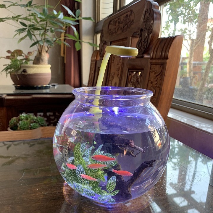 Spot Small Round Fish Tank Household Desktop Goldfish Tank Plastic Landscape Ecological Tank Transparent Anti-Fall Fish Tank Wholesale