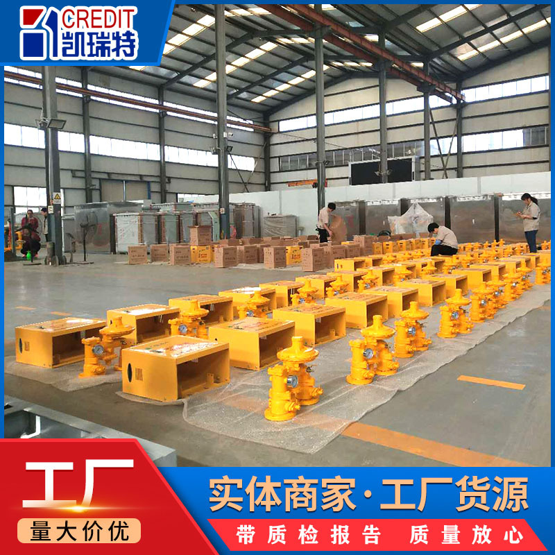 Wall-Mounted Building Pressure Regulating Box R Gas Pipeline Remediation Pressure Regulating Box Community Gas Pressure Regulating Box