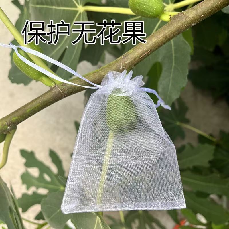 Spot Wholesale Fruit Anti-Bird and Insect-Proof Mesh Bag Transparent Fruit Bagging Grape Peach Fig Breathable Drawstring Bag