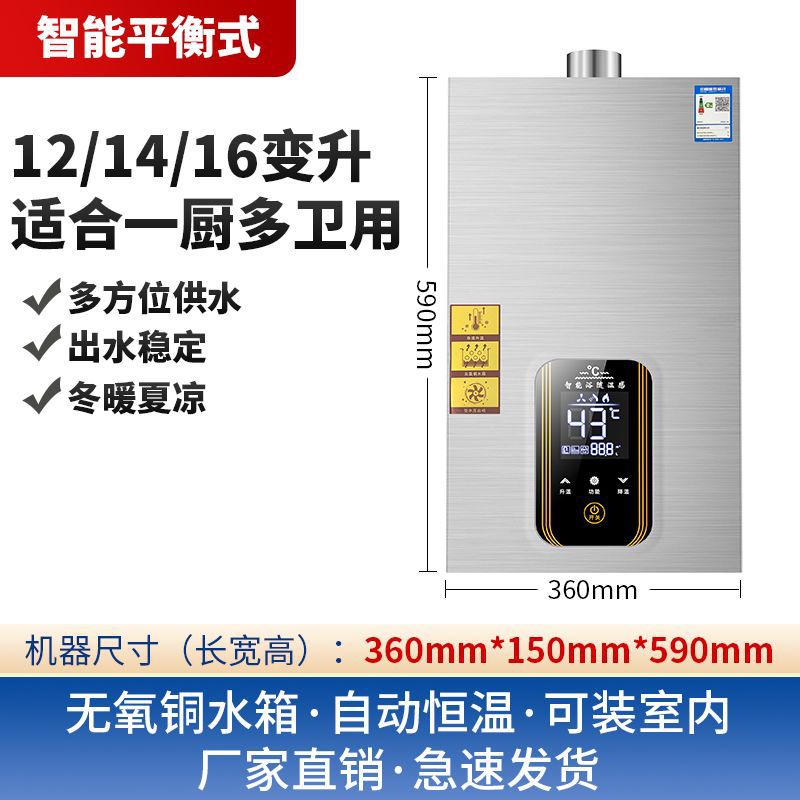 Gas Water Heater Household Bath Plug-In Constant Temperature Intelligent Constant Temperature Water Heater Large Capacity Amazon One Piece Free Shipping