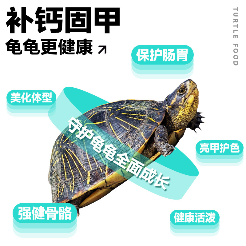 Turtle Feed High Protein Turtle Food Snapping Turtle Money Turtle Food Universal Particles Fish and Shrimp Breadworm Dried Turtle Open Food