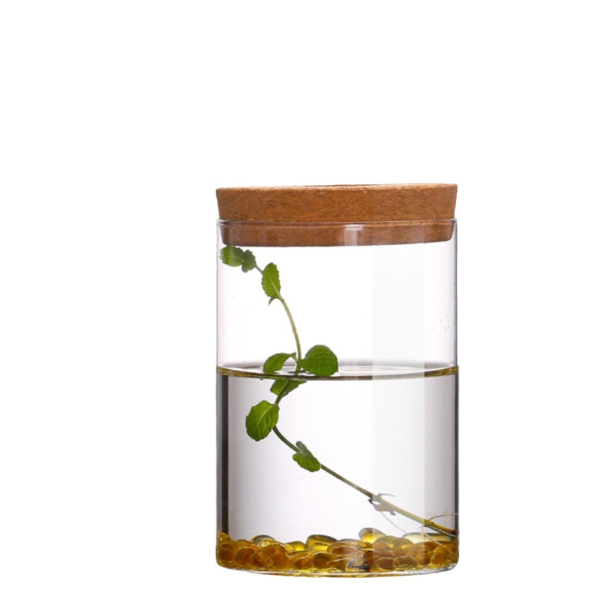 Micro-landscape seaweed ball ecological hydroponic green plant vase desktop high borosilicate glass mini ornaments viewing bottle