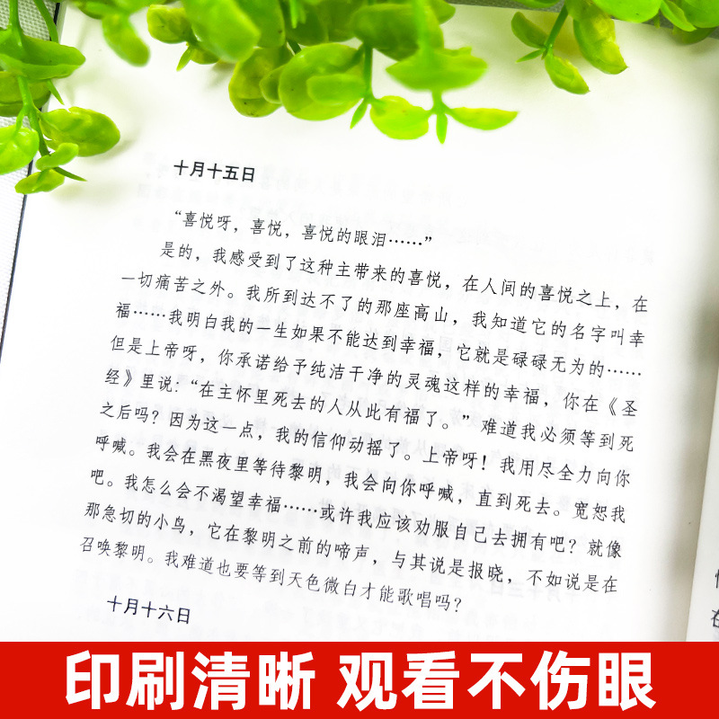 The Narrow Gate Nobel Prize for Literature Classic after Reading "The Narrow Gate", You Will Understand Gide's Life