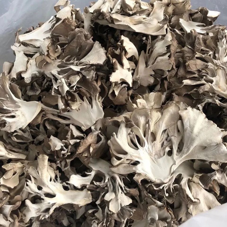 Сушеные продукты майтаке, съедобные грибы, экологически чистый зеленый чай майтаке, фермерские каштановые грибы, слайсы майтаке 100г