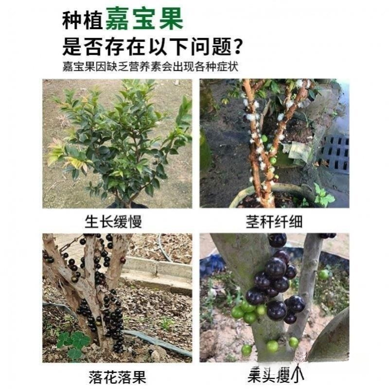 Jiabao Jiabao Fruit Slow-Release Fertilizer Treasure Fruit Tree Mail Fertilizer Fruit Fertilizer Granules Organic Fertilizer
