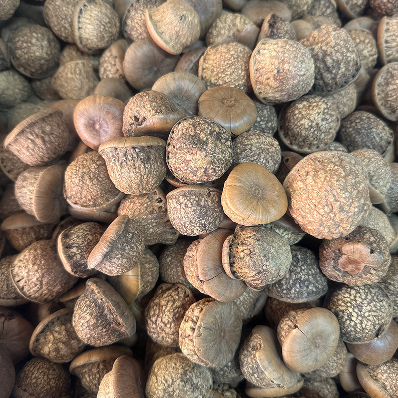 Fengliu Gu Turtle Head Tianzhu Seed Kidney-Benefiting Stone Fruit Male Wine Ingredients with Cynomorium and Cistanche Deserticola for Rejuvenation