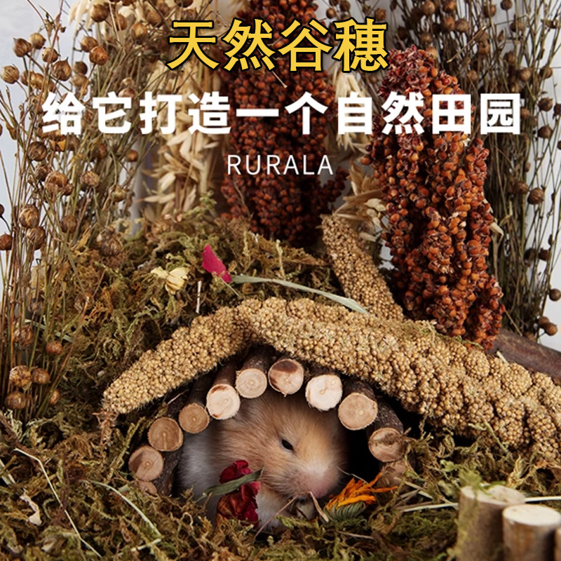 New Grain Ears, Millet Ears, Natural Wheat Ears, Hamster Teething Snacks, Small Pet Cages, Landscaping, Cereals, Flowers, Flax Seeds