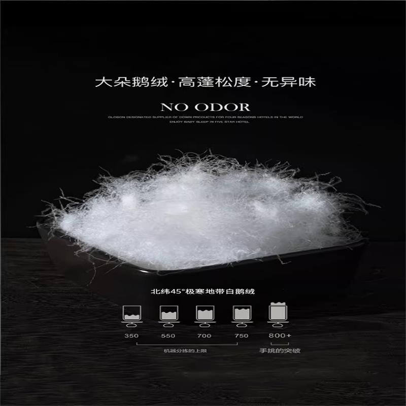 Hungarian down Quilt Genuine Class a 95 White Goose down Quilt Core Pure Cotton Winter Quilt Goose down Quilt White Goose down 5A Grade 100 Goose