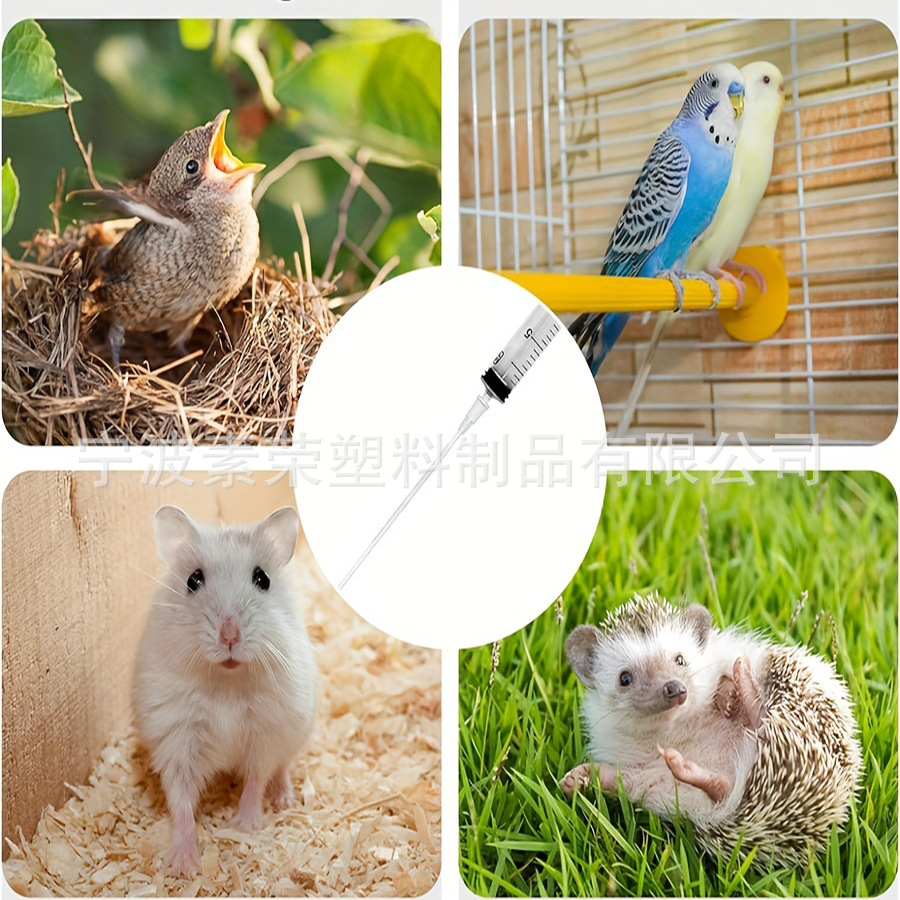 Cross-border Pet Feeding Syringe Syringe Tool Hose Feeding suit Bird Turtle Hamster