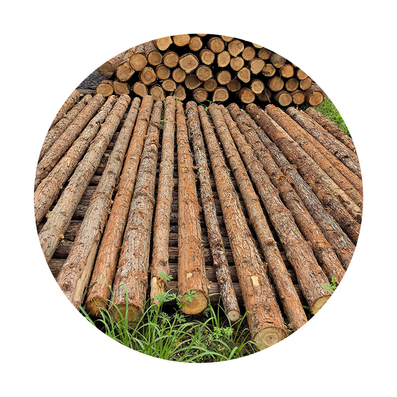 Pine wood log stake processing log piling fir wood stake greening reinforcement support rod flood control forest direct sales