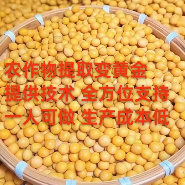 Технология экстракции соды: проект "Конверсия золота" урожая, который может реализовать один человек