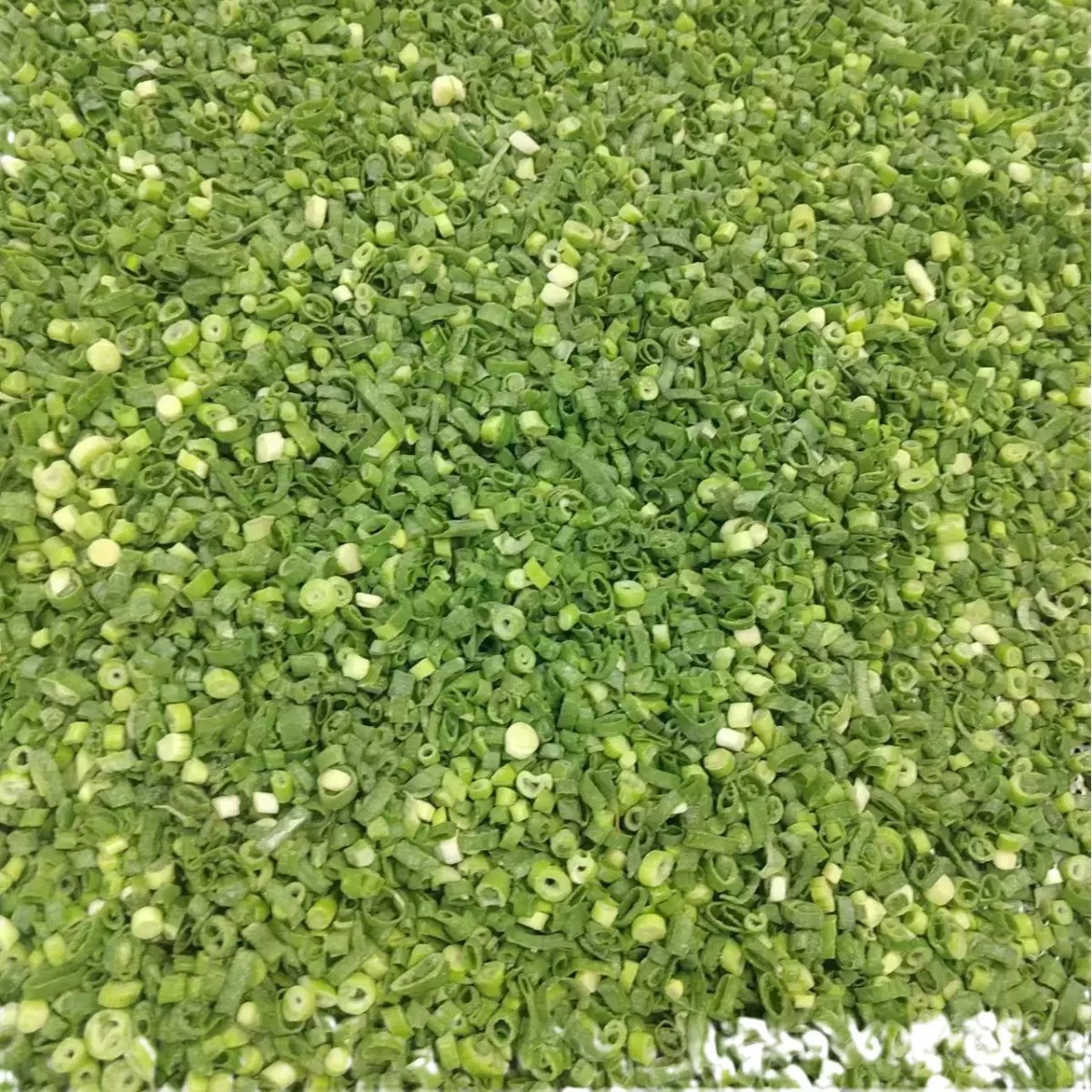 Speed ​​Scallion Frozen Chopped Chives Chopped Scallions 10Kg/Box for Wholesalers