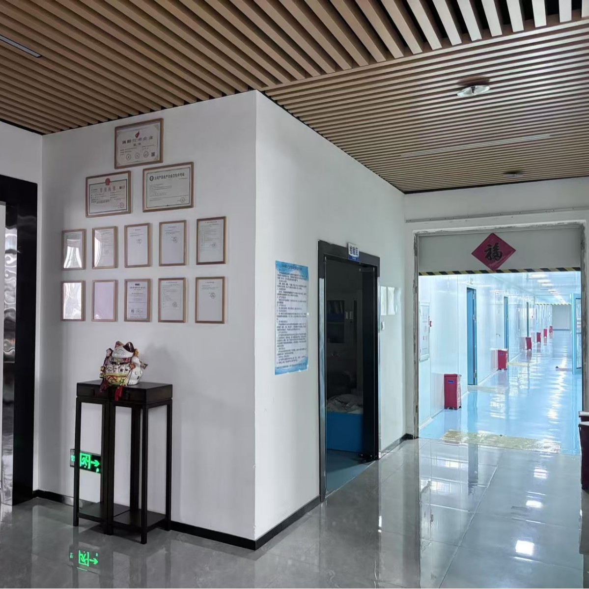 Huby Cotton Swab Wiping Stick Clean Room Microscope Precision Instrument Treatment Wear-Resistant and Non-Damaging Lens Light Mouth Cleaning