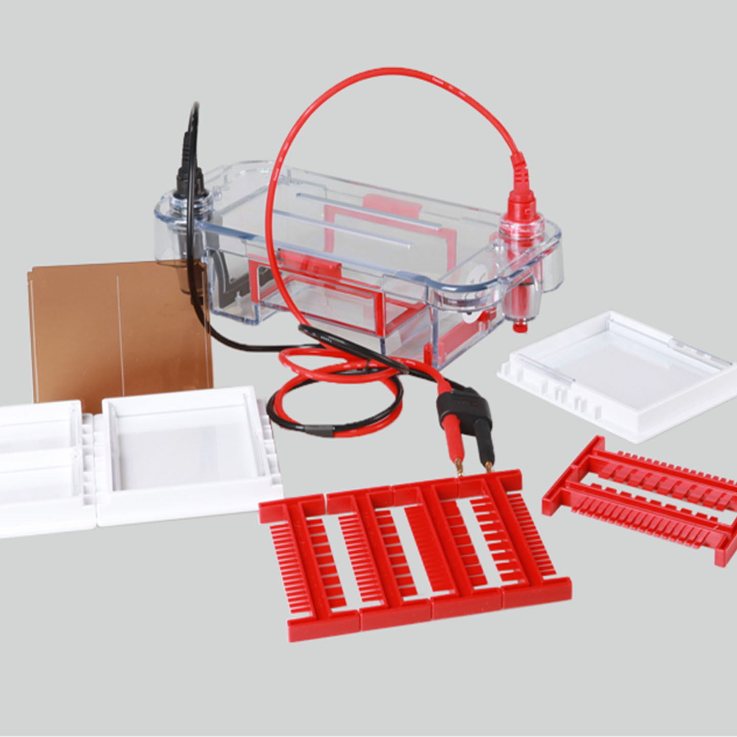 Ve-580Pro Vertical Electrophoresis Chamber (Number of Gels Running Simultaneously: 1-4)