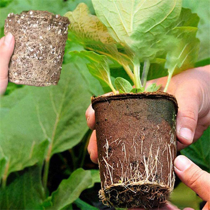 Biodegradable Pulp Seedling Cups Amazon Garden Flower Cross-Border 12-Grid Plant Pots Manufacturer Seedling Trays Wholesale