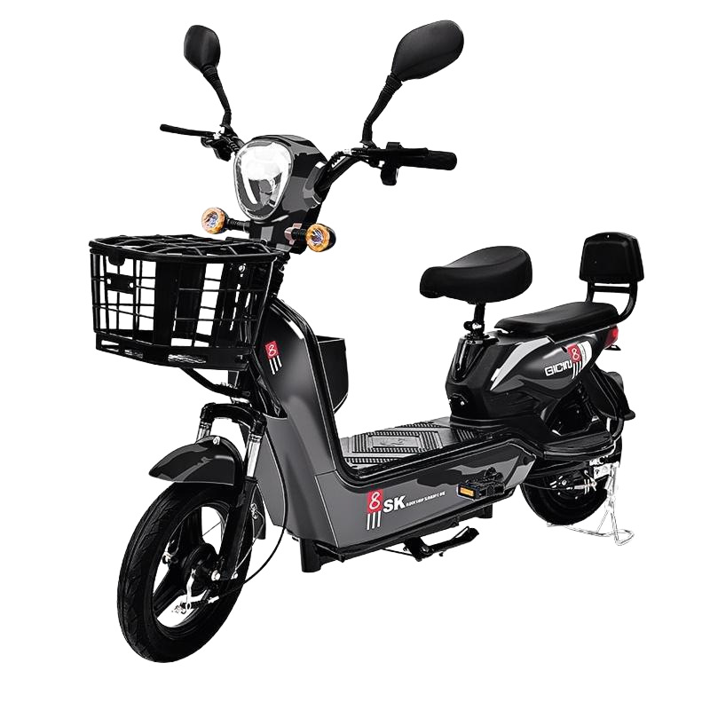 Customized Golden Eagle 48V Electric Bicycle Factory Bike for Export, Ultra-Long Range, Lightweight Two-Wheeled Electric Scooter