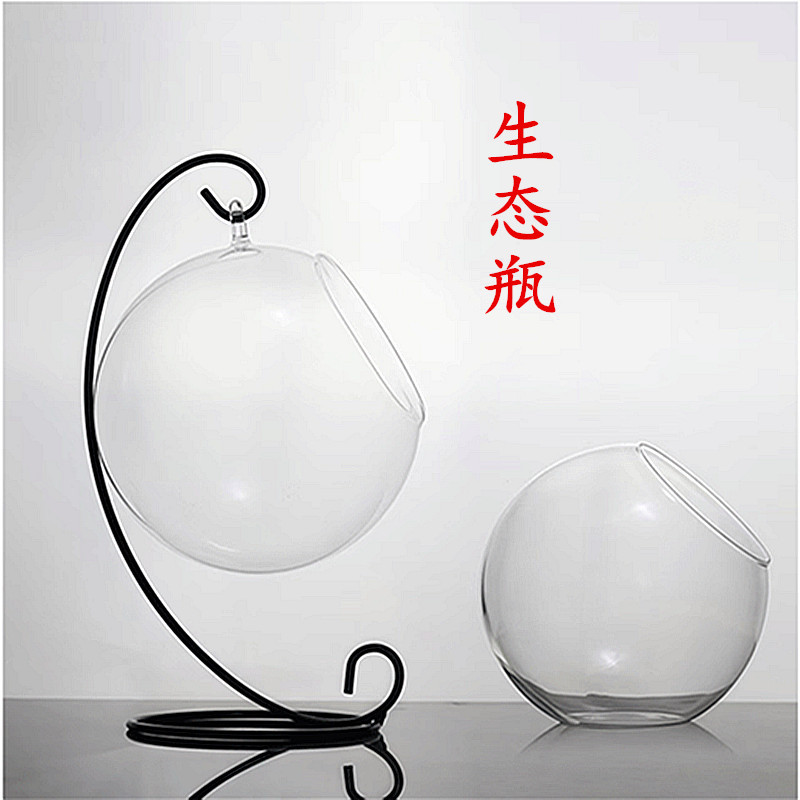 Micro-Landscape Ecological Bottle DIY Plant Landscaping Bottle Transparent Glass Vase Creative Moss Succulent Plant Hanging Bottle