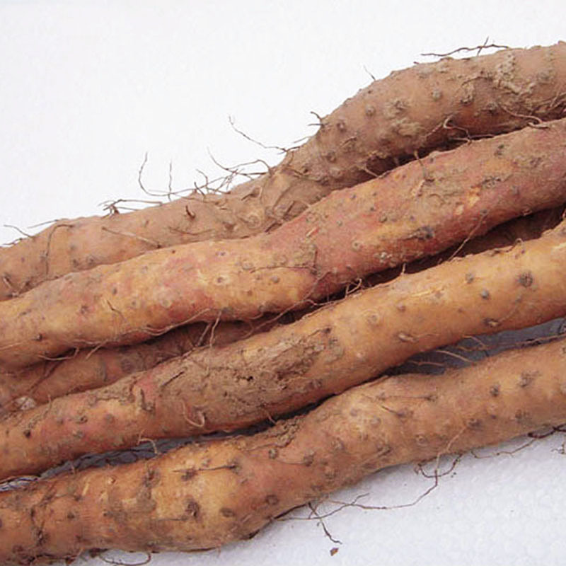 Fresh Iron Bar Yam from Luotu Selection 2.5kg Jiaozuo Luotu Iron Bar Huaihuashan about Henan Specialty