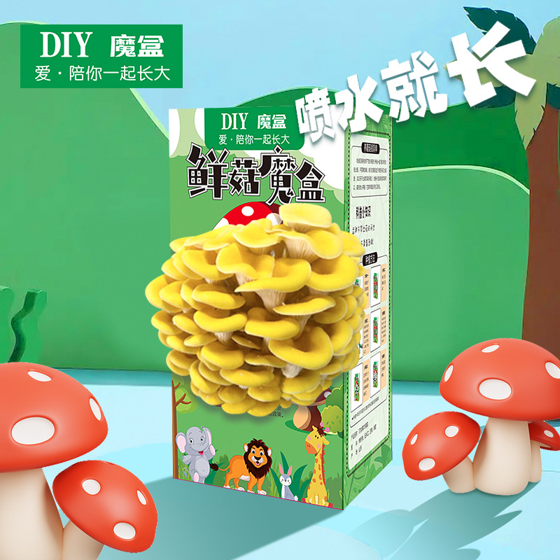 Mushroom Box Fungus Bag Fungus Stick Planting Home School Award Gift Kindergarten Kitchen Plant Blind Box Fleshy Welfare