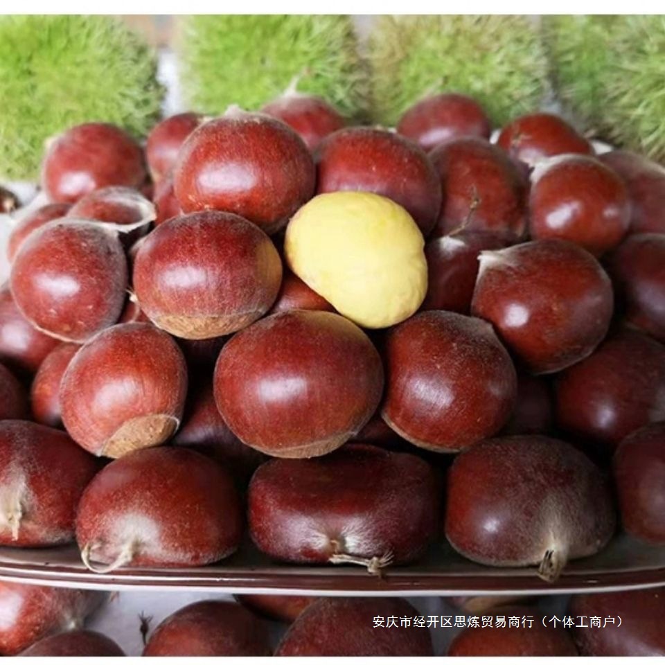 Wild Chestnuts Fresh Oil Chestnuts Dandong 5 Cones Fresh Tender Chestnuts Qianxi Chestnuts Fresh Chestnuts 2025