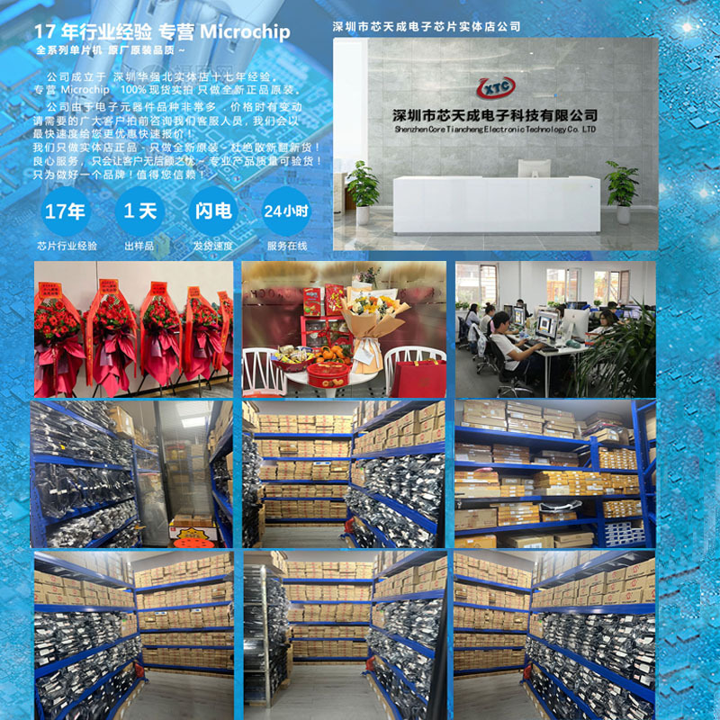 Original Genuine Patch Ch340C Sop-16 USB to Serial Port Ic Chip with Built-In Crystal Oscillator