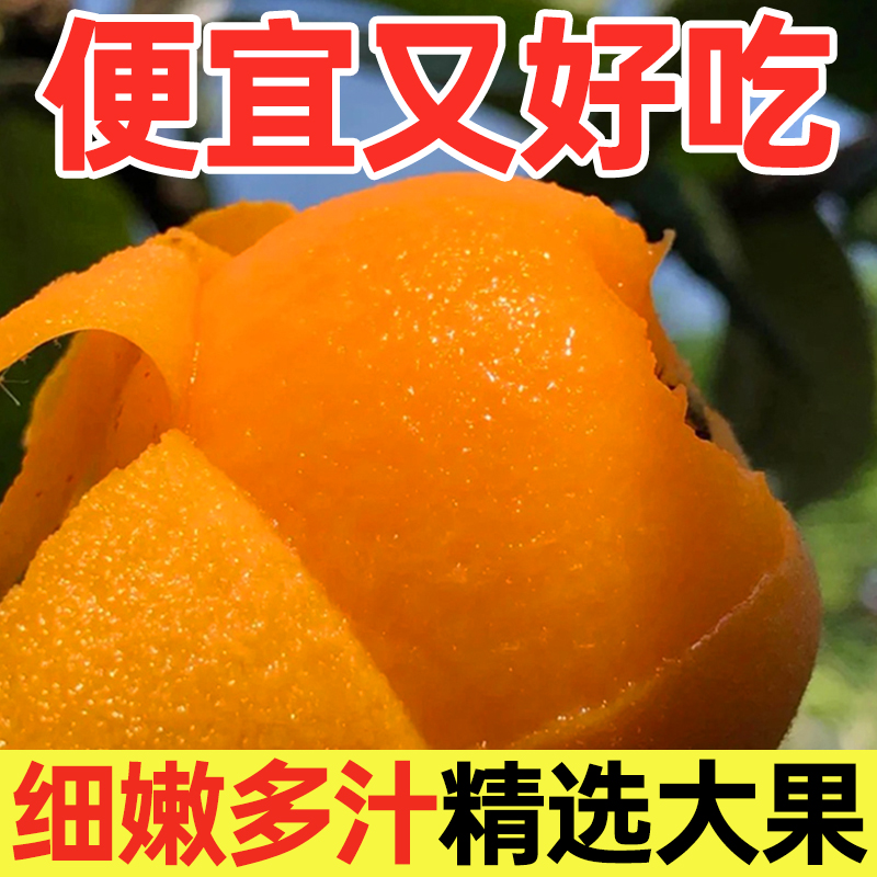 [Sf Direct] Yunnan Mengzi Loquat, Seasonal Fresh Fruit, Juicy Loquat, Pregnant Women Can Eat and Get Free Loquat Leaves