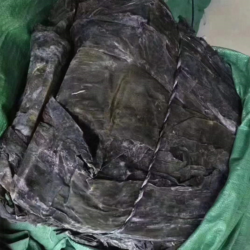 Dried Kelp from Fujian, Bulk Supply from Manufacturers, Wholesale from Shandong - New Products for Street Vendors and Supermarkets