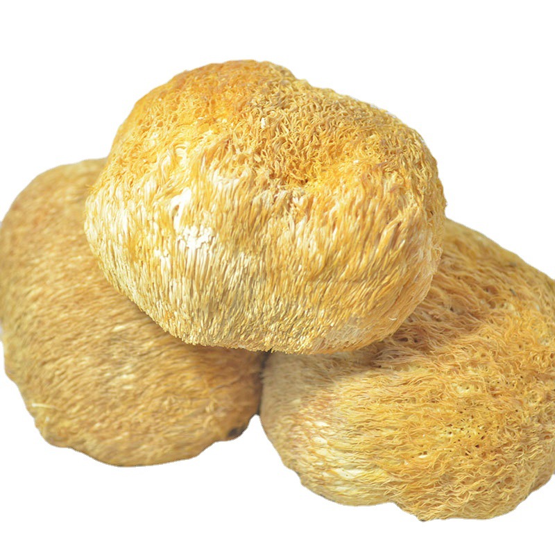 Source Manufacturer Hericium Specialty Dry Goods Northeast Hericium 500g Oem Processing Hericium Wholesale Hericium