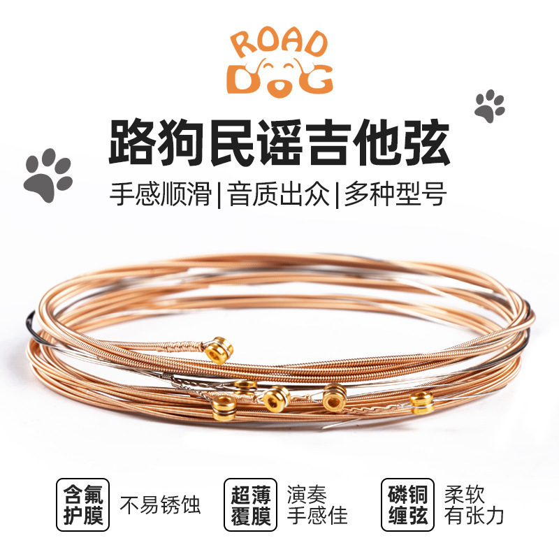 Road Dog Folk Guitar Strings Ac/Kc Set 6 Phosphor Copper Coated Strings Full Set of Accessories for Acoustic Guitar