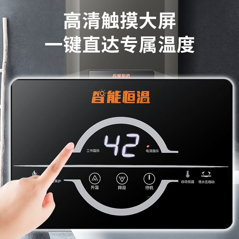 Gas Water Heater Household Natural Gas Liquefied Gas Bath Forced Exhaust Constant Temperature Balanced Model Free Shipping Amazon