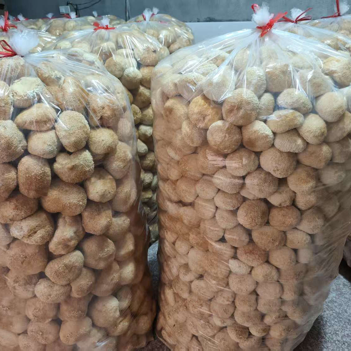 Dried Hericium Erinaceus (Lion's Mane Mushroom) Without Roots and Stems, Sulfur-Free, Bulk Edible Fungi Wholesale, Export Grade