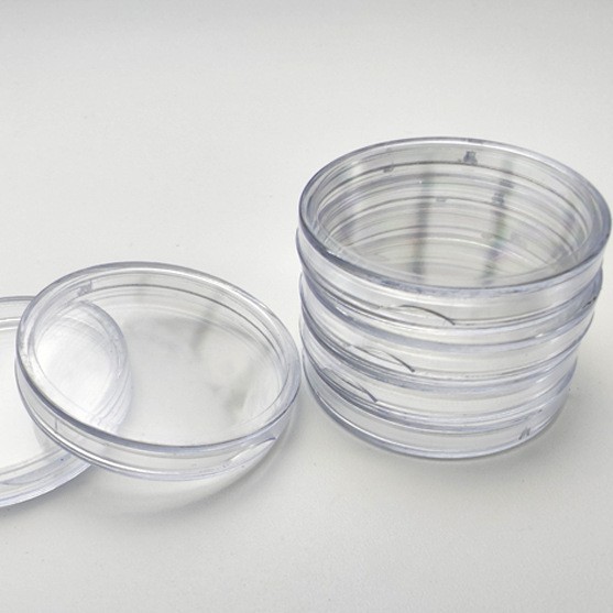 Inner Diameter 18/19 to 30mm Commemorative Coin Protection Box Coin Small Round Box Transparent Plastic Box Coin