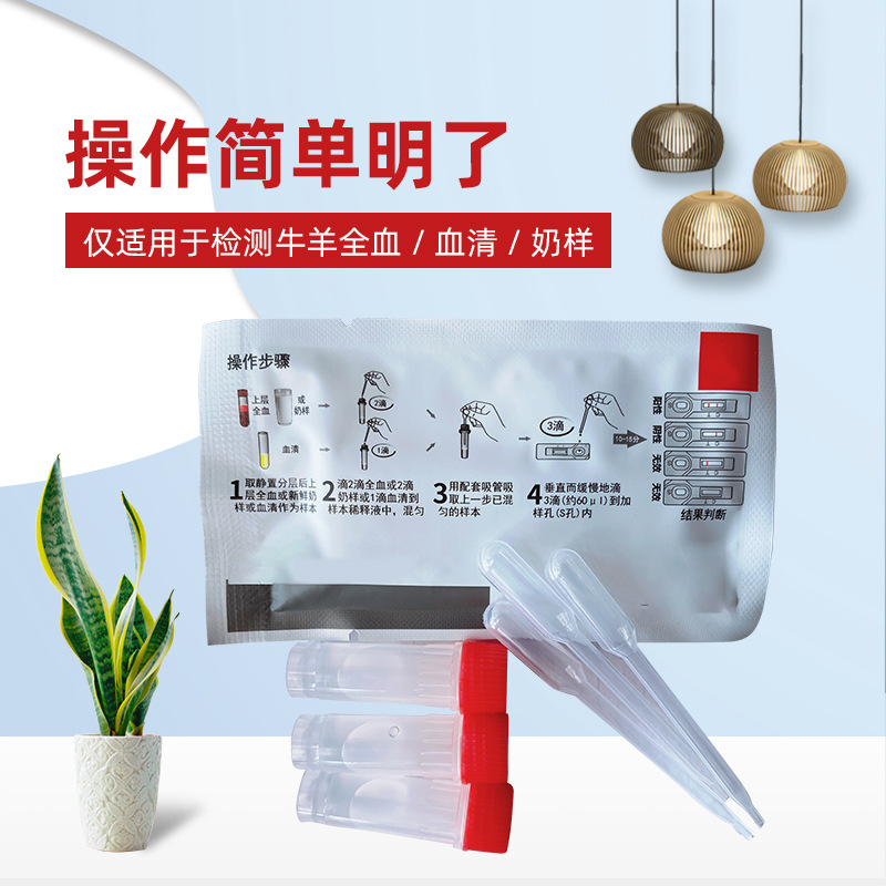 Brucella Test Card, Whole Blood, Serum, Milk Sheep, Test for Bovine and Ovine Brucellosis, High Test Accuracy, Large Quantity, Favorable