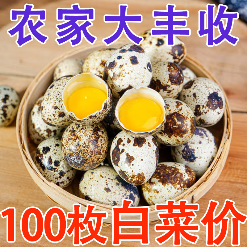 Свежие 50 перепелиных яиц от свободно гуляющих птиц, подходят для хот-пота и дополнительного питания, свежесобранные и отправленные из сельской местности
