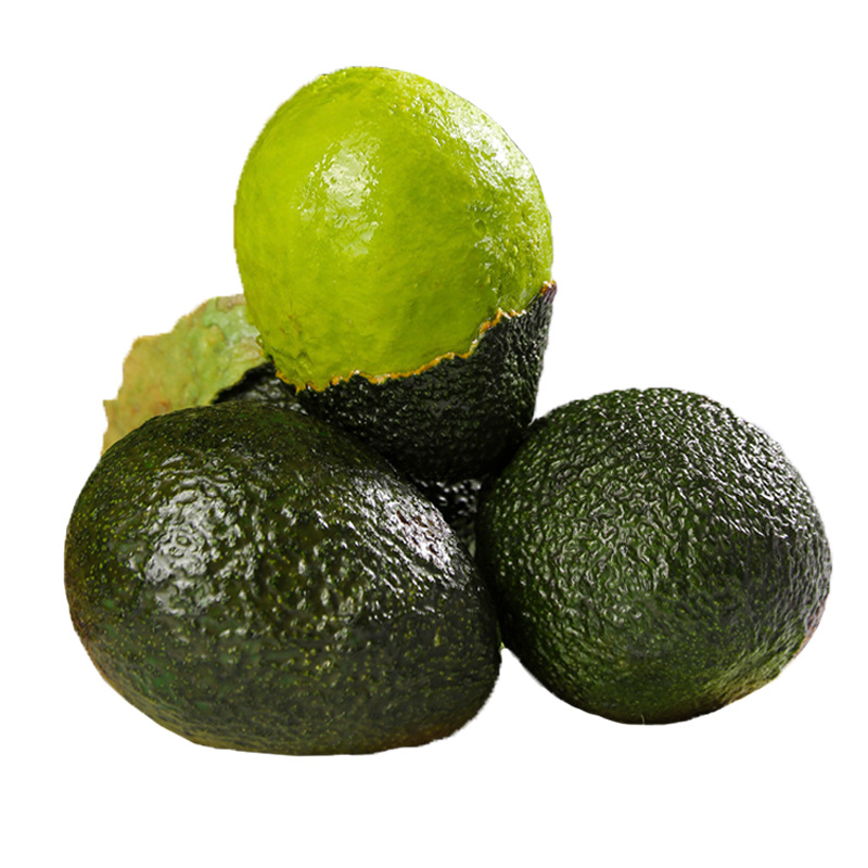 Yunnan Avocado Jumbo Fruit Seasonal Whole Box Ripe Ready-To-Eat Avocado Forest Cream Wholesale