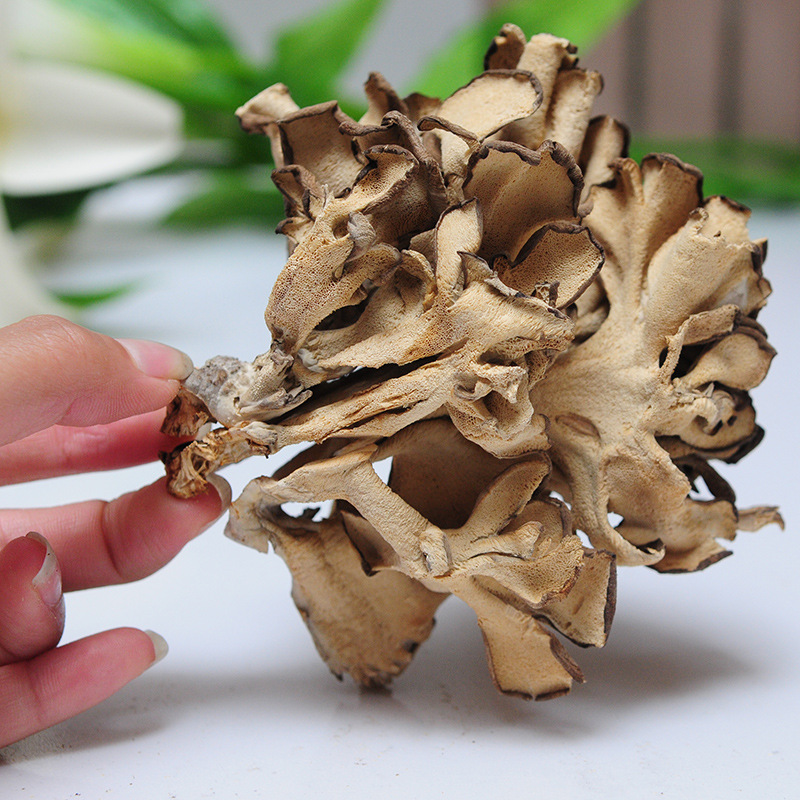 Grifola Frondosa Qingyuan Manufacturer Direct Supply (Maitake) Dry Goods Sulfur-Free New Goods 500g Commercial Mushrooms Ready for Sale