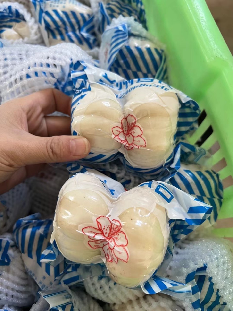 Lanzhou Fresh Edible Lily Bulbs, Sweet Fruit Lilies 500g, Lily Medicinal Herbs, Direct Delivery from the Place of Origin