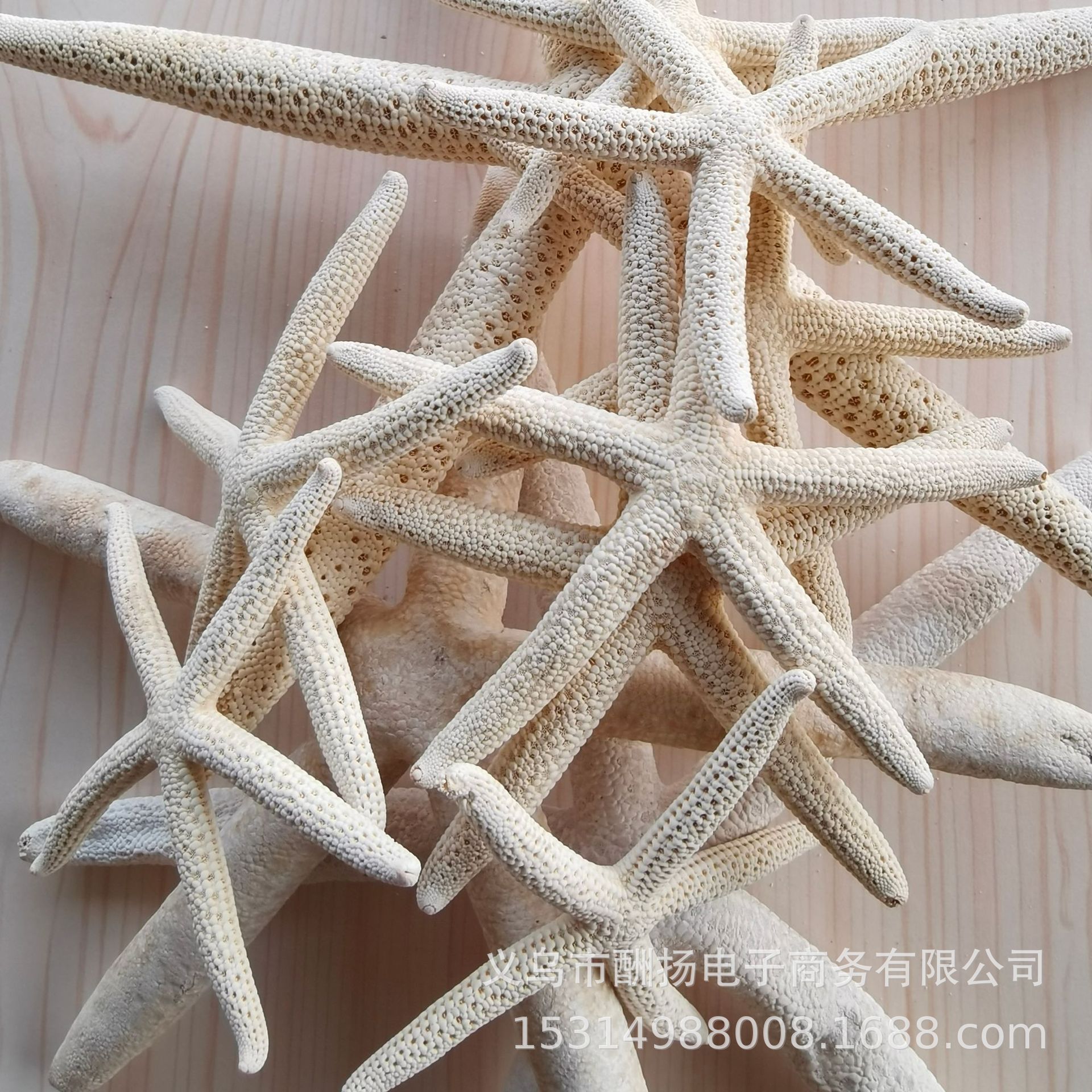Various Natural Starfish Handmade Materials DIY Natural Conch Shells Jewelry Accessories Factory Direct Sales