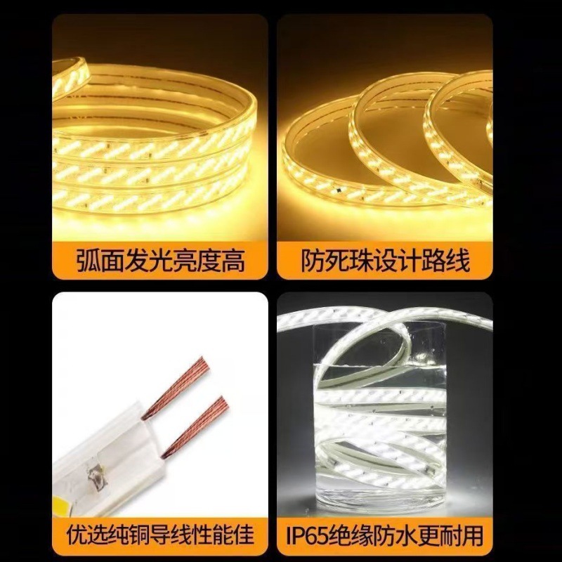 220V high voltage outdoor waterproof LED lights with living room exterior wall special engineering flexible linear set of glue light wholesale