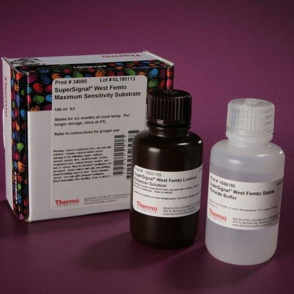 21335 Thermo Fisher Thermo Ez-Link ™   Sulfo-Nhs-Lc-Biotin