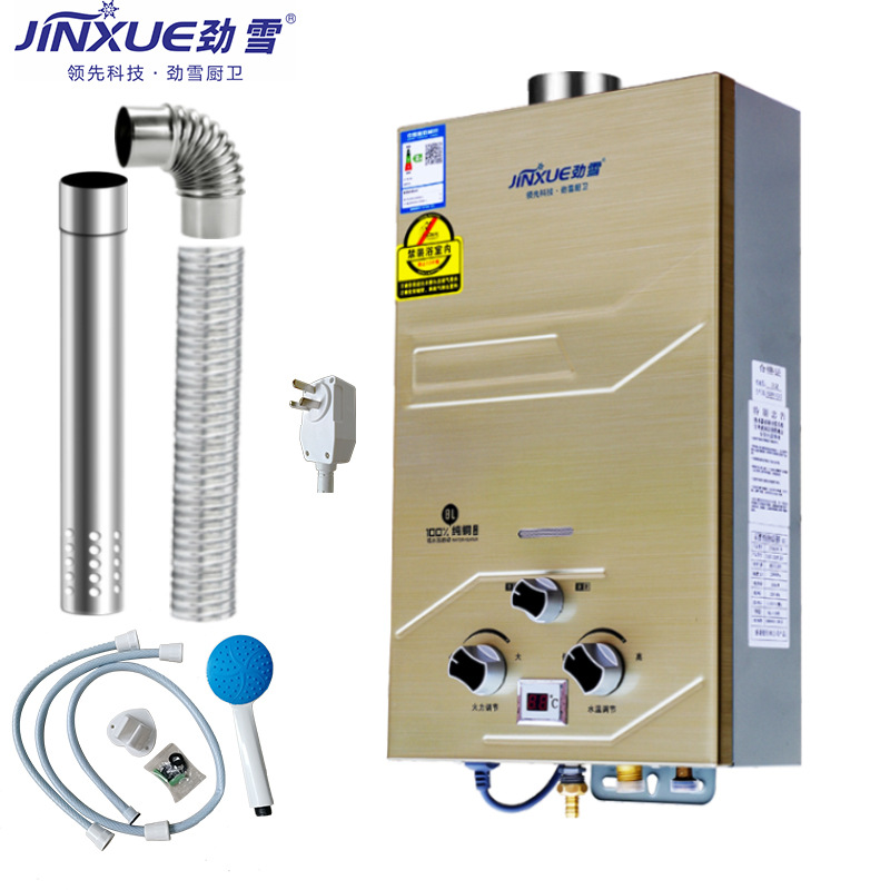 Guangdong Gas Water Heater Manufacturer Forced Exhaust Water Heater Wholesale Liquefied Gas Natural Gas Water Heater for Home Use