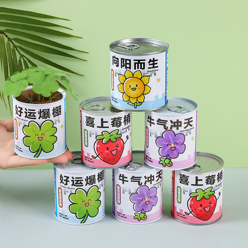 Мини DIY популярное растение в банке креативный подарок для студентов маленький цветочный горшок слепая коробка