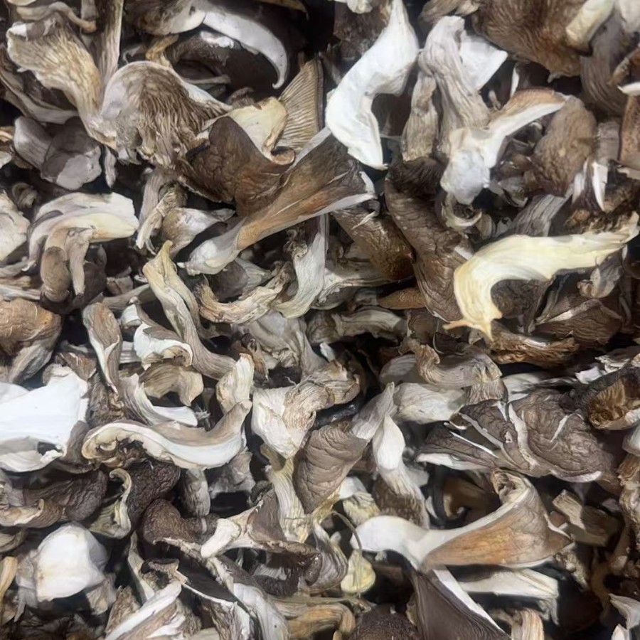 Оптовая продажа полосок грибов шиитаке, новинки из Хэнани, фермерские грибы шиитаке, оптовая продажа полосок грибов северного ветра
