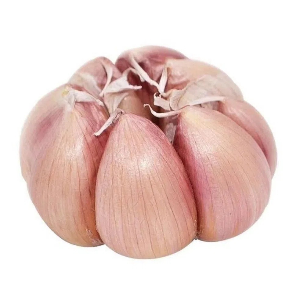Purple garlic 2.50kg 2024 season whole box of fresh vegetables newly dried garlic wholesale red farmer's own