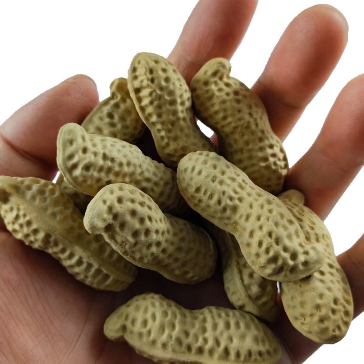 Purple Clay Bionic Small Peanut Section Mud Peanut Yixing Purple Clay Tea Pet Sculpture Ornaments Tea Play Decoration Home Furnishings