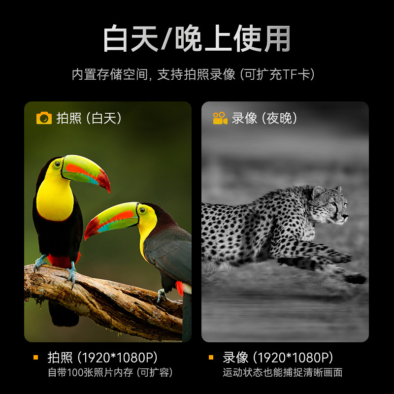 Cross-border 2024 New Digital Infrared Night Vision HD Magnifier Outdoor Photography Binocular Animal Telescope