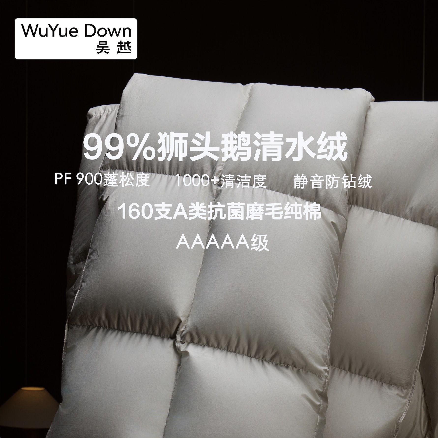Пуховое одеяло 5A класса, 99% пуха гусей Львиная голова, фабричное прямое снабжение, утолщенное, зимнее, для весны и осени
