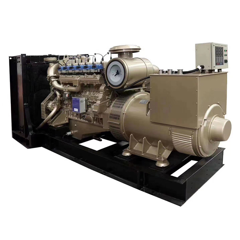 250KW natural gas generator 300kw 500kw 600 kw800KVA 1000 kW biogas generator set