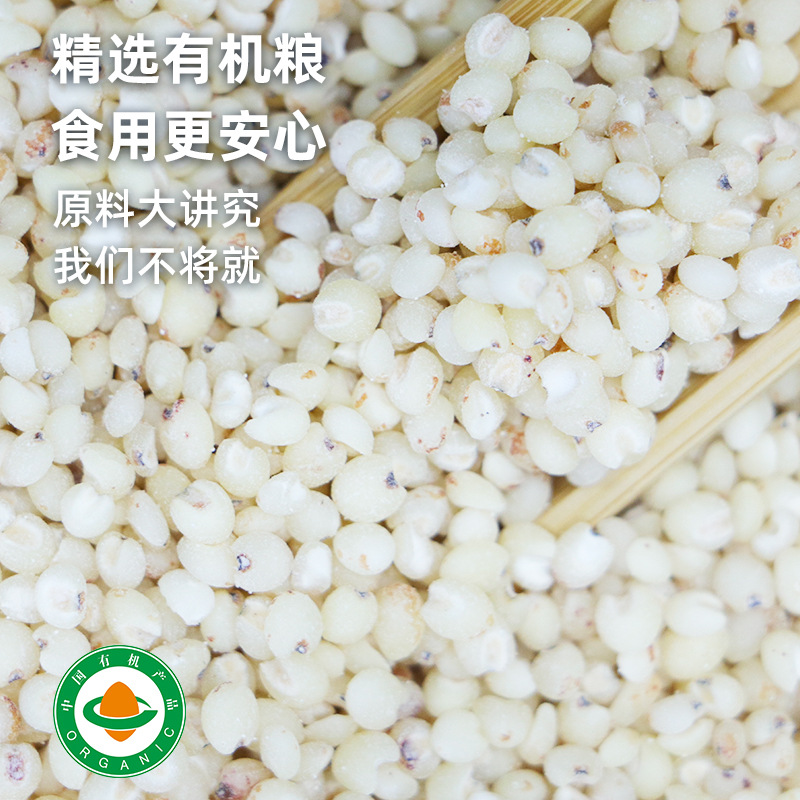 Organic White Sorghum Rice New Rice 480g Staple Fitness Meal Replacement Shelled and Peeled Sorghum Rice Kernels Whole Grain Source Factory